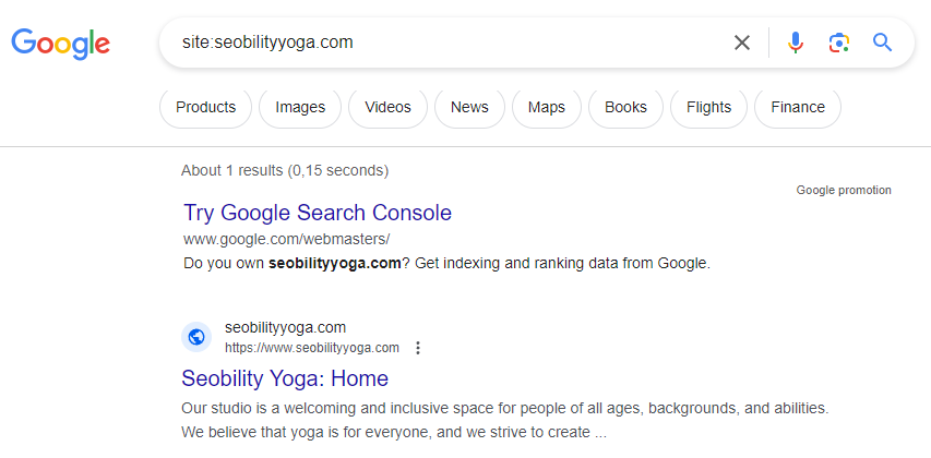 homepage was indexed in Google